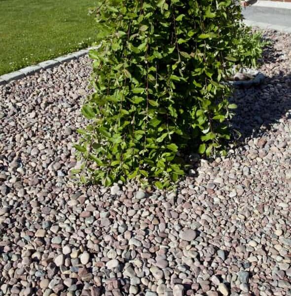 Natursingel från Benders.